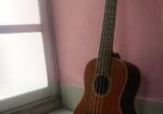 Cordoba Ukulele