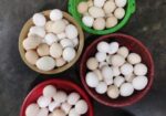 ফাউমি মুরগির ডিম