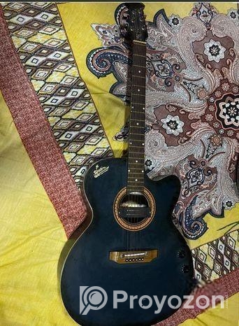 Signature Guitar