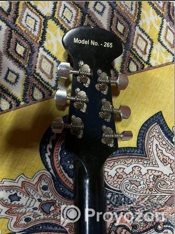 Signature Guitar