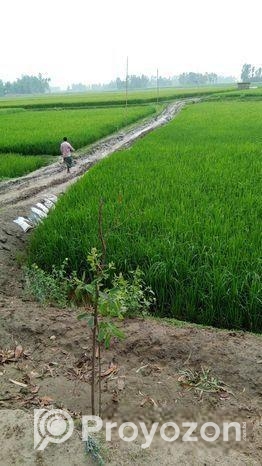Land For Sell