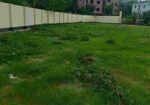 ল্যান্ড শেয়ার ব্যবসায়িক উপযোগী @ ২২ কাঠা প্লট বি
