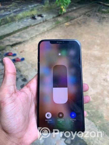 Apple iPhone 12 Pro Max (Used)