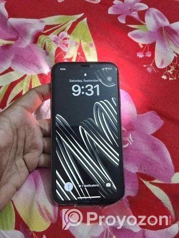 Apple iPhone 11 4/128 (Used)