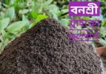 ট্রাইকো-কম্পোস্ট লুজ প্রতি কেজি (৪০ বস্তা)