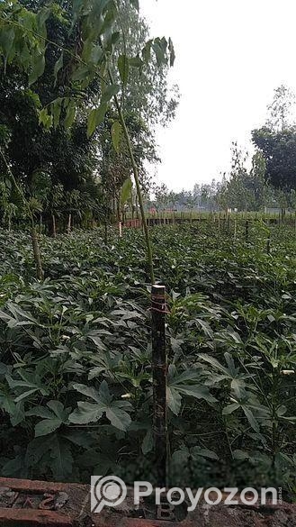 JOMI BIKROY