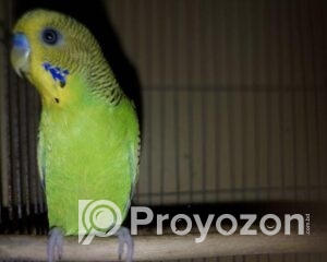 fitted-41_2025-09-20_11-02-36