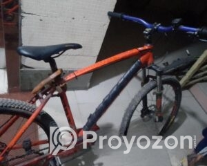 fitted-41_2025-09-28_16-26-35