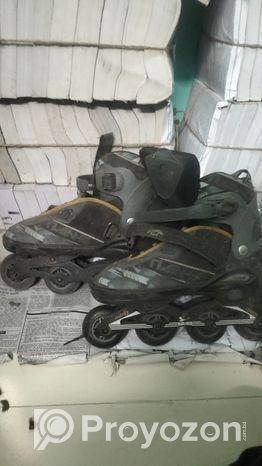 Sketing Shoe
