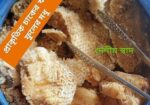 সুন্দরবনের প্রাকৃতিক চাকের খলিসা ফুলের মধু