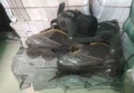 Sketing Shoe
