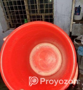Bucket