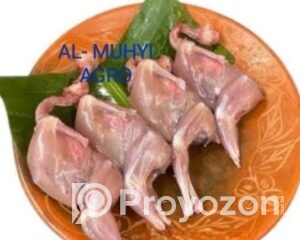 fitted-47_2025-09-19_23-10-41