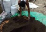 ট্রাইকো-কম্পোস্ট লুজ প্রতি কেজি (৪০ বস্তা)