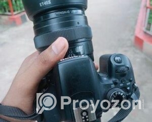 fitted-4_2025-09-20_10-13-00