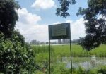Land Share For Sale at Purbachol