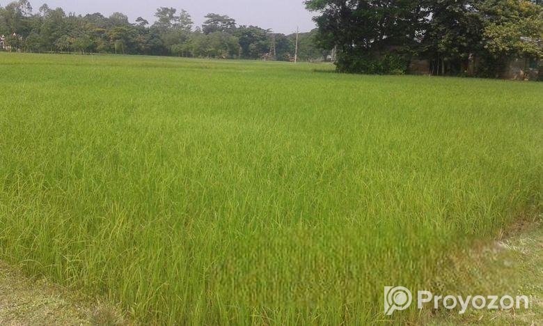 Land Sale