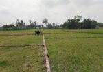 প্লট আকারে জমি বিক্রি হচ্ছে।