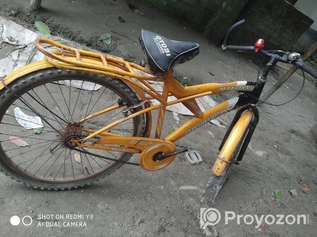 Bicycle for sell