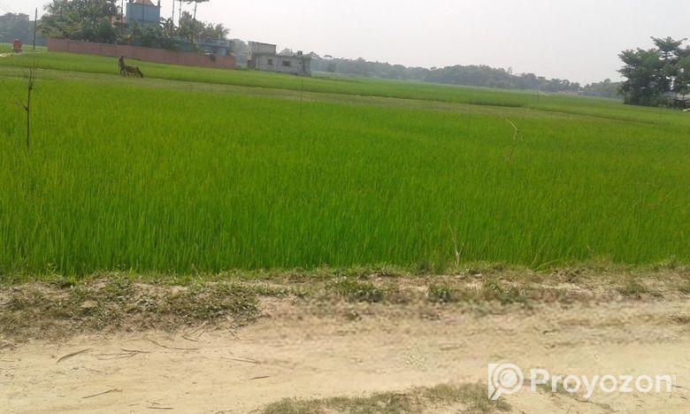 Land Sale