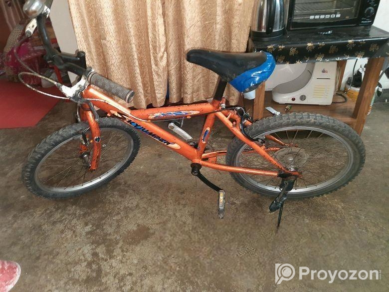 Bicycle for sale