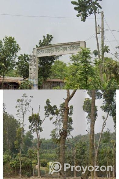 জমি বিক্রি