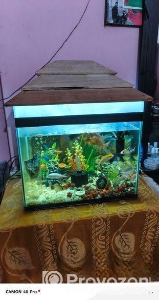 Aquarium