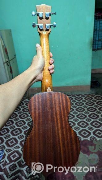 Hertz Ukulele