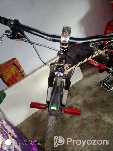 Duranta Bicycle For Sale