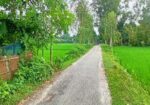 বাড়িকরার উপযুক্ত জায়গা বিক্রি হবে।