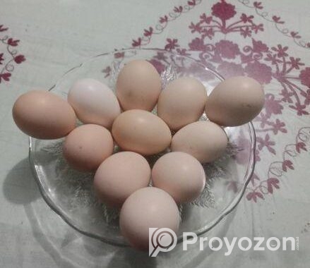 দেশি মুরগির ডিম