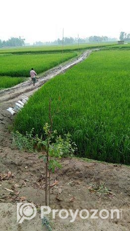 Land For Sell