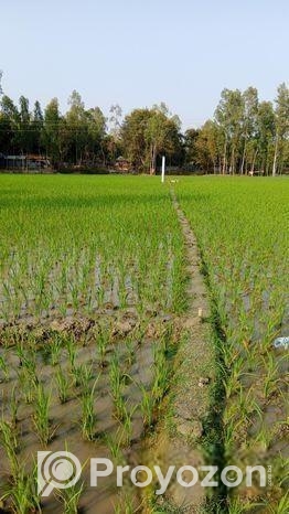 Land For Sell