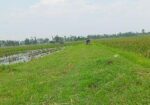 Land For Sell