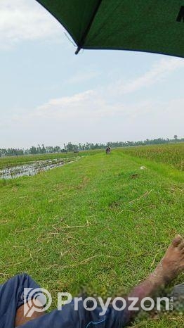 Land For Sell