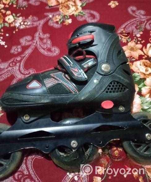 Skating Show