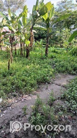 Land for sale