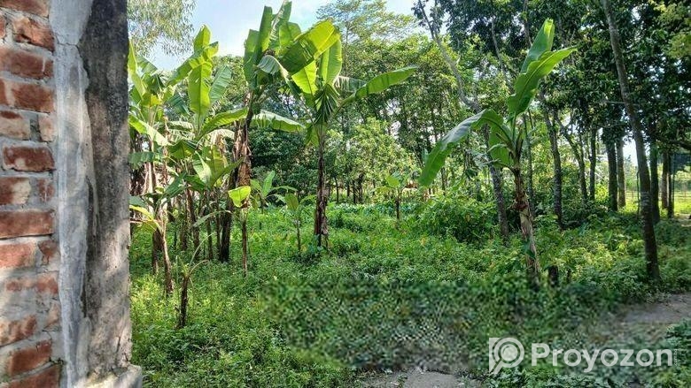 Land for sale