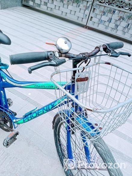 Bicycle For Sell