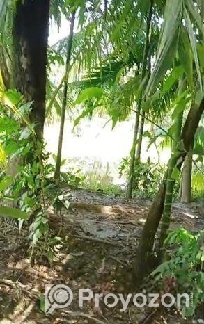 Land Sale