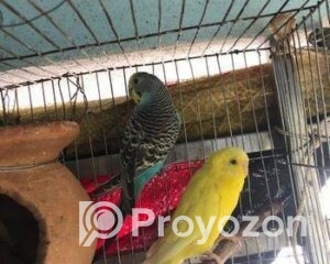 fitted-72-Copy_2025-09-29_10-48-24