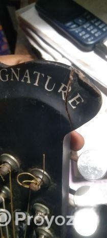 Signature Guitar