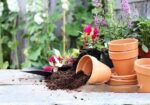 পট সয়েল (Pot Soil) ৫ কেজি প্যাক