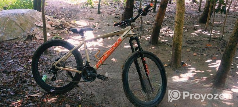 Bicycle for sell