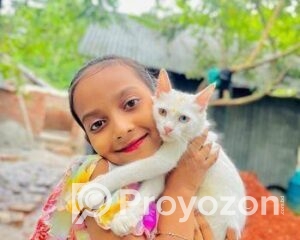 fitted-75_2025-09-25_12-20-07