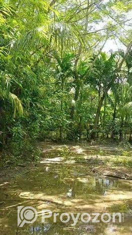 Land Sale