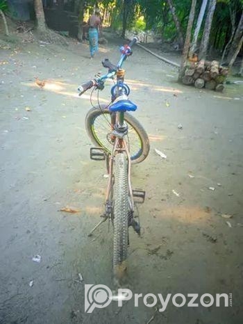 Bicycle For Sell