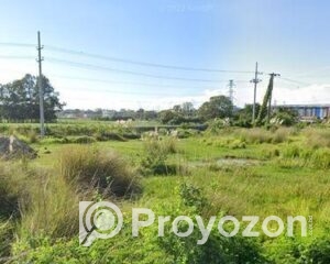 fitted-81_2025-09-20_00-12-05