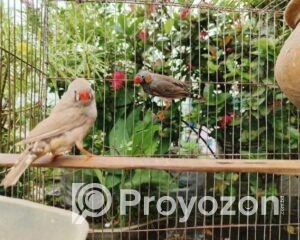 fitted-83_2025-09-17_17-56-03