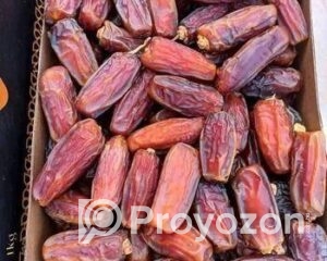 fitted-85_2025-09-29_11-00-09